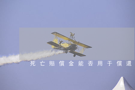 死亡賠償金能否用于償還信用卡債務？